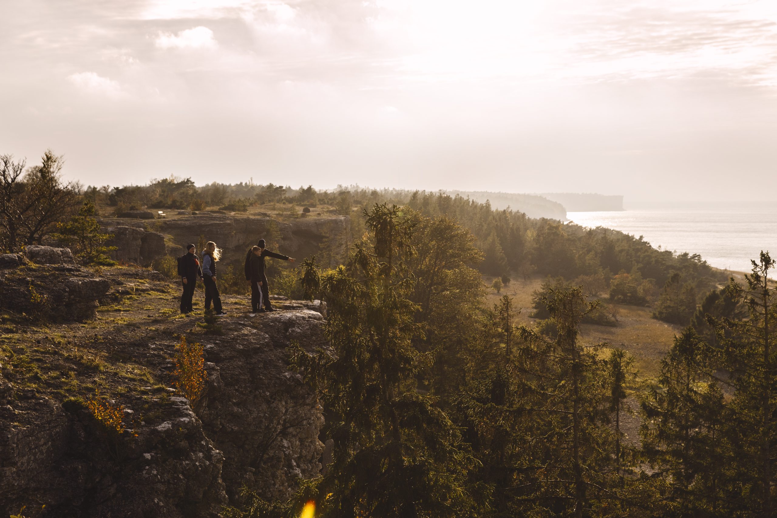 Vandrare på en klippkant vid havet