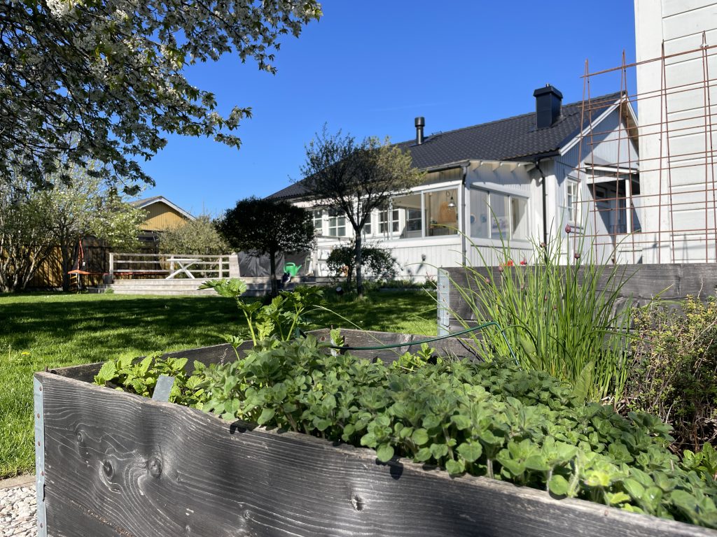 grönskande trädgård